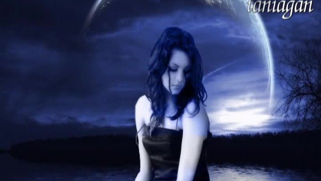 A cry in the Night -Bonnie Bianco(превод)
