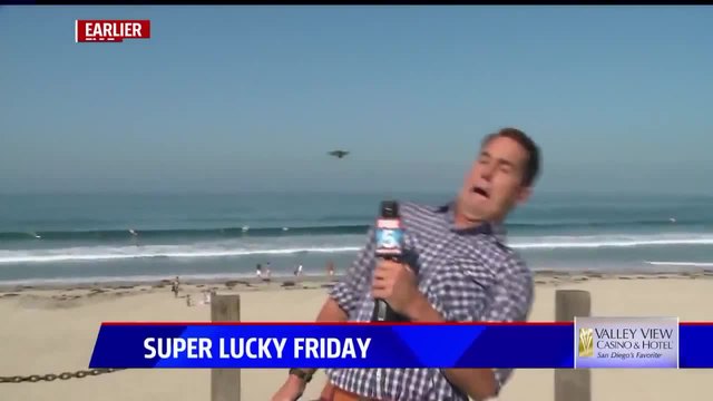 Гигантско насекомо изплаши репортер