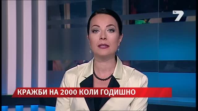 Софийски автоджамбази плячкосват по 2000 коли годишно News7