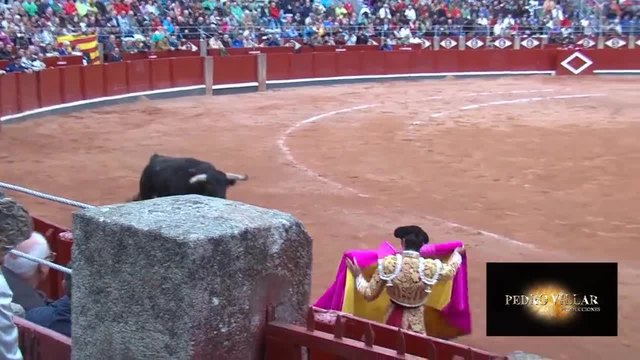 Бик изхвърли тореадор от арената