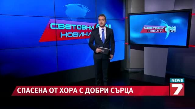 Спасиха куче, зазидано под тротоар-news7