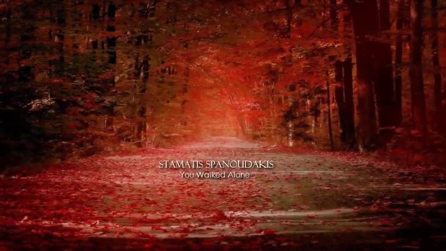 Stamatis Spanoudakis - You Walked Alone