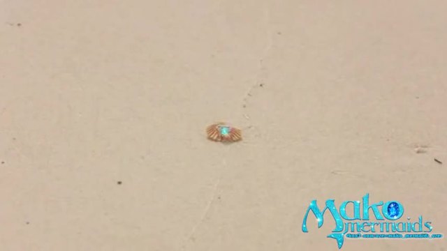 Русалките от Мако Сезон 1 Епизод 4 Бг аудио