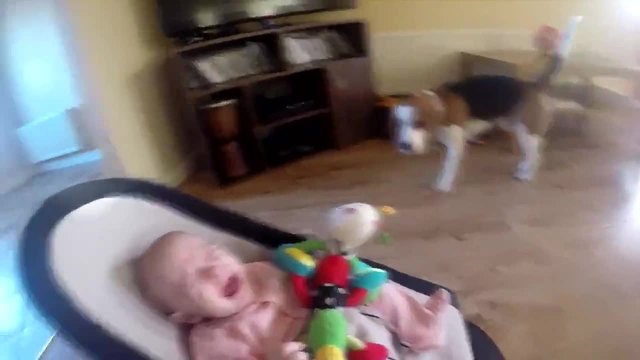 Виновно куче се извинява на бебе, че му е взело играчката
