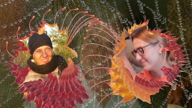 Александр Кир и Полина Рязанцева - Опадают листья в сентябре  