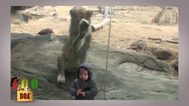 Деца, които за първи път са в зоопарк