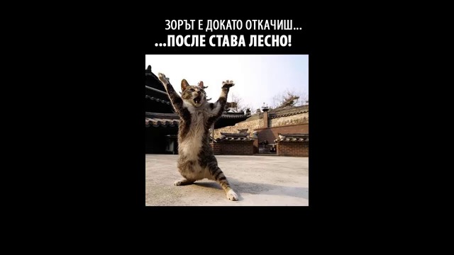 Честита Нова 2016 Година!!!