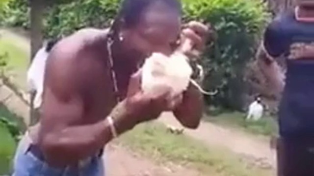 Вижте как ядат кокосови орехи в Африка!