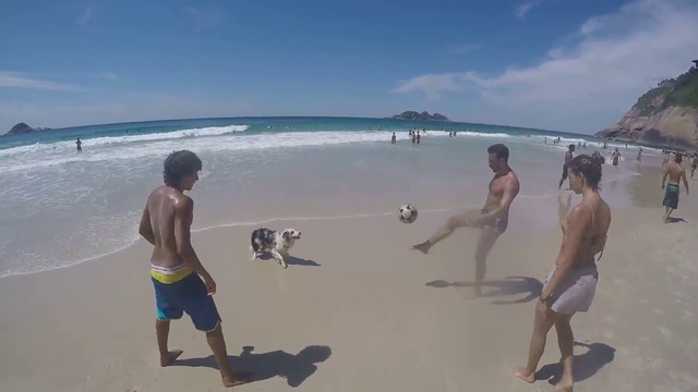 Куче играе с приятелите си на плажа!