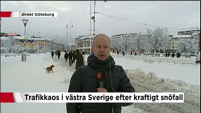 Гаф в репортаж на шведската телевизия TV4 (видео)