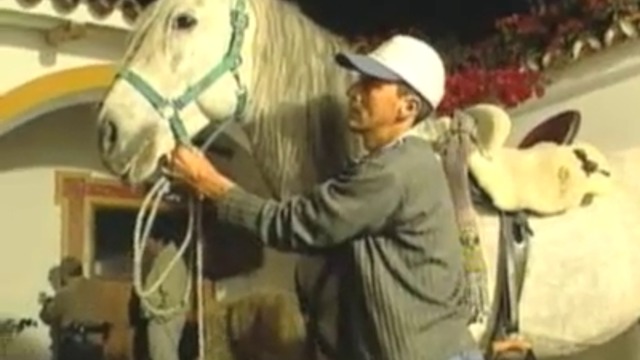 Detras de las cámaras de TVAEAQ