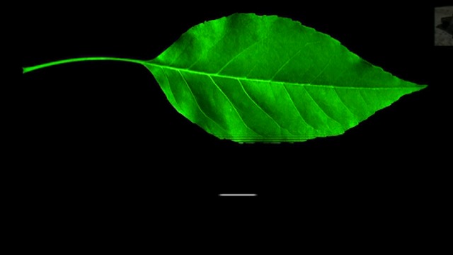 Изоставен - част 1