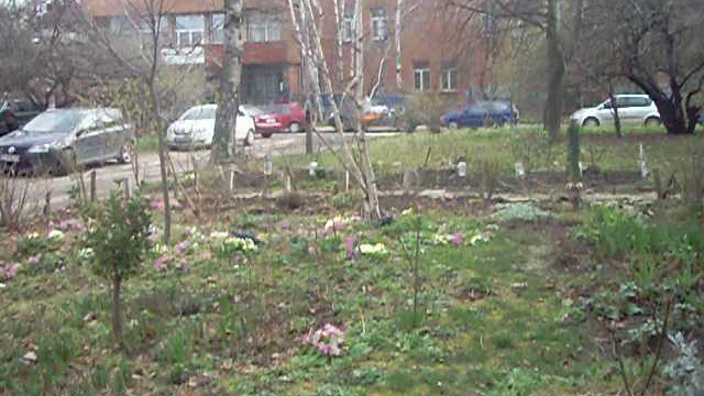 Градината при Краси :- Пролетно настроение.