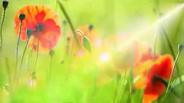 ✿Аромат на пролет - планетата на цветята! ... ... (Giovanni Marradi music) ... ...✿
