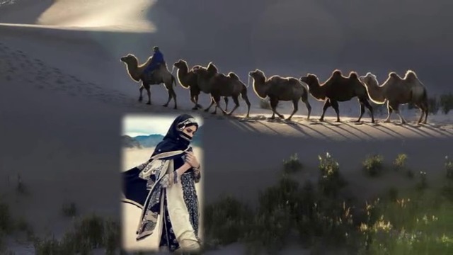 Пустинни Пясъци! В Арабски Ритъм (ВИДЕО)
