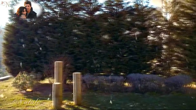 Рустам Джихаев  -  Чистая любовь