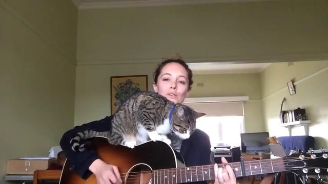 Прекрасна песен , котка и момиче ...