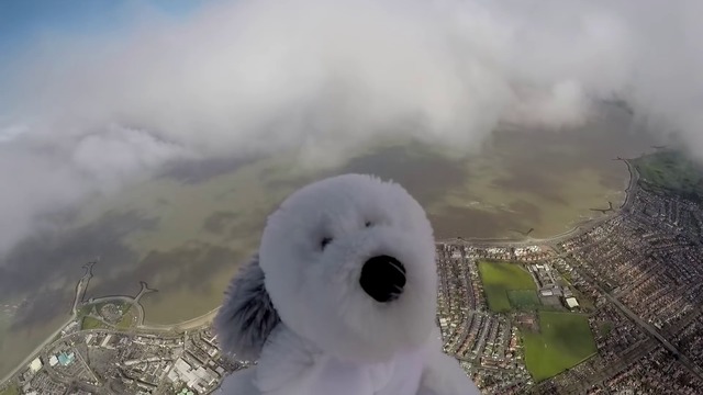 Плюшено куче се изгуби в Космоса