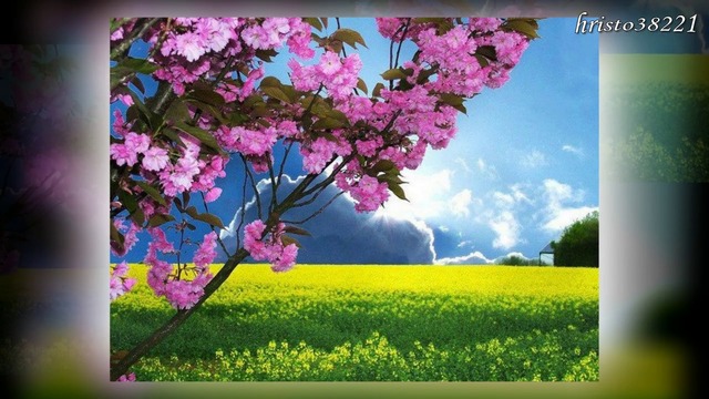 Руслан Исаков  -  Ты ушла