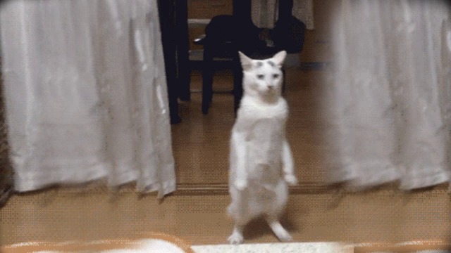 Сладурчета