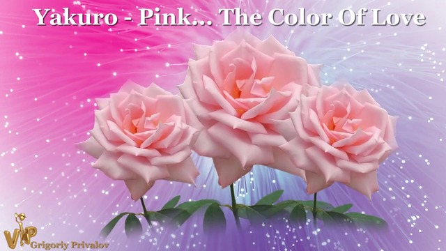 Yakuro Pink The Color Of Love  