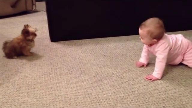 Малко кученце си говори с бебе !