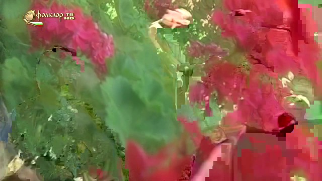 Неврокопските танцьори   Градил Илия килия