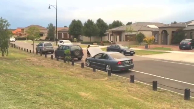 Брутална Гавра