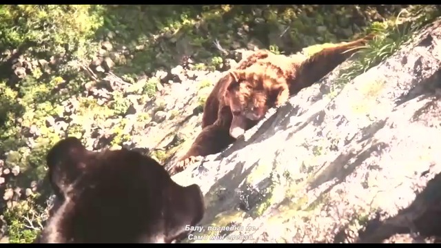 Книга за джунглата - част 3