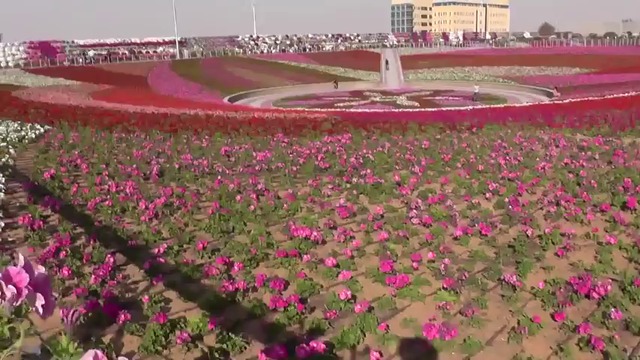 Парк в  (Dubai)