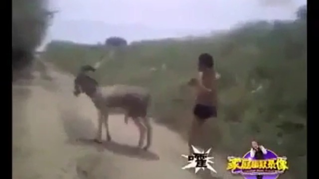 Ще Умрете От Смях