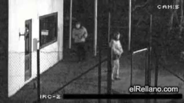 Voleurs stupides Крадци глупаци