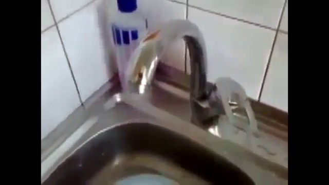 Смях! Най- Лудите Хора в Света