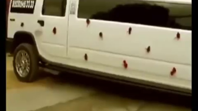 Смях! Ненормална Мафиотска Руска Свадба