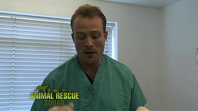 Зооспасители (Animal Rescue Squad) S02E01 *бг субтитри*