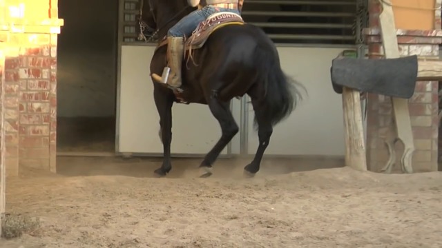 Caballo Prieto Afamado - Vicente Fernandez