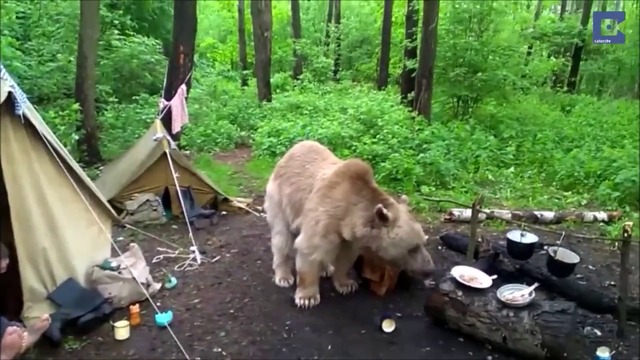 Обичайно руско семейство на пикник .