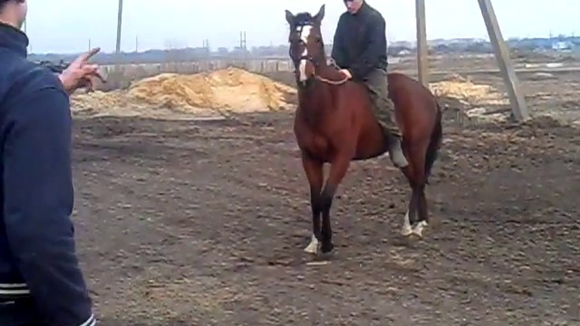 Падна от коня