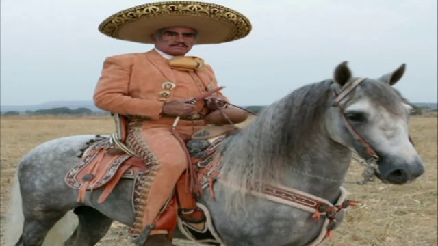 El potro lobo gateado, Vicente Fernández