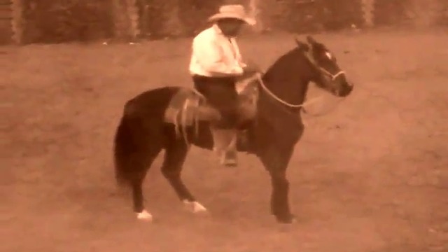 Chayito Valdéz “Mi Caballo El Cantador“ ( Corridos de Mexico )