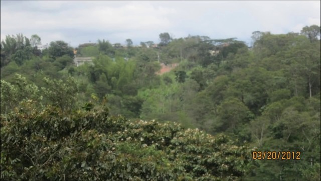 Ojitos verdes, Dueto las Palomas