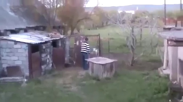 Овен  хулиган, част 2