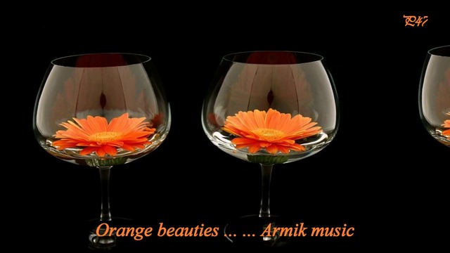 ╰❀╮Оранжеви красавици! ... (Armik music) ... ... ╰❀╮
