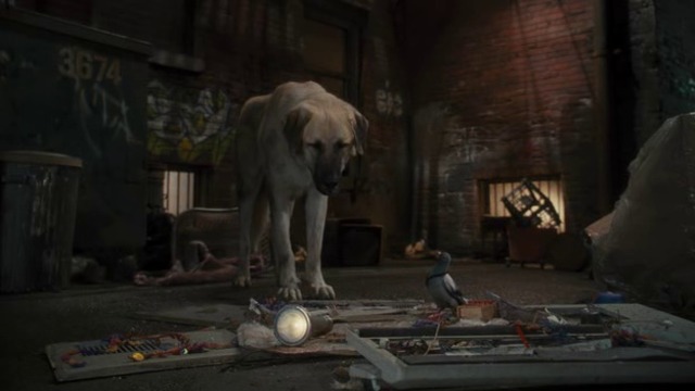 Котки и кучета - Отмъщението на Кити  Cats and Dogs -The Revenge of Kitty Galore  (2010)  Бг Аудио( Високо Качество) Част 3