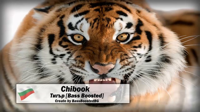 2o16 » Chibook - Тигър [Bass Boosted]