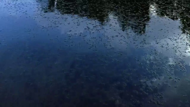 [1/5] Новият свят - кино версия - Бг Аудио ~ филм за Покахонтас (2005) The New World - theatrical version - Pocahontas {hd}