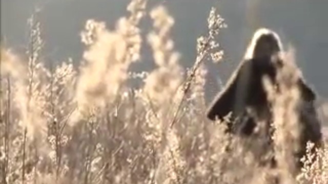 Великите българи; Паисий Хилендарски