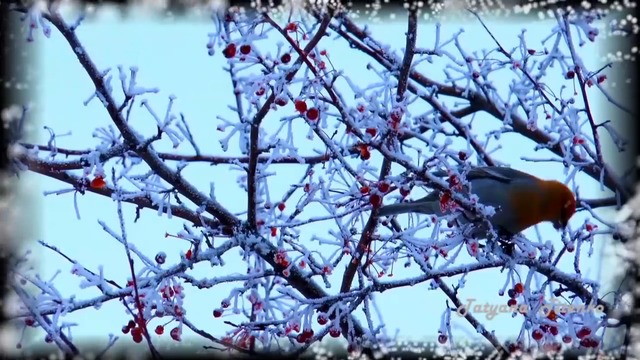 Белоснежное Царство