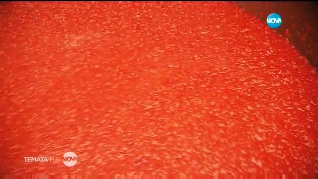 В първият ден на 2017 година Темата на NOVA ще е по-вкусна