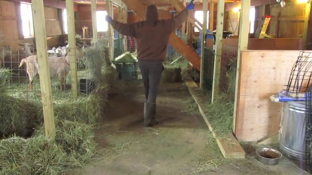 Фермер разсмя света с този танц: Това се казва да си обичаш работата